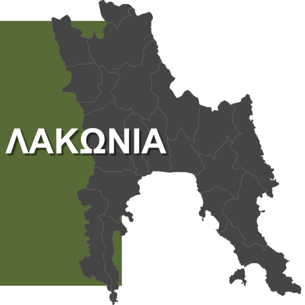 discover our olive discover our olive